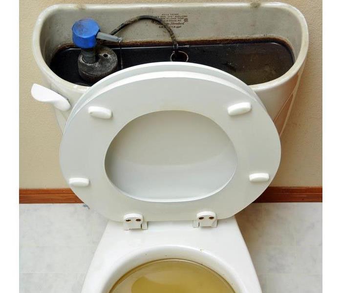 sewage backup in a toilet