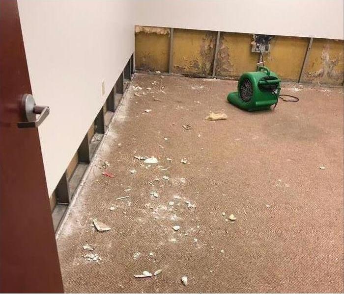 Flood cuts performed in a drywall, mold found behind walls.