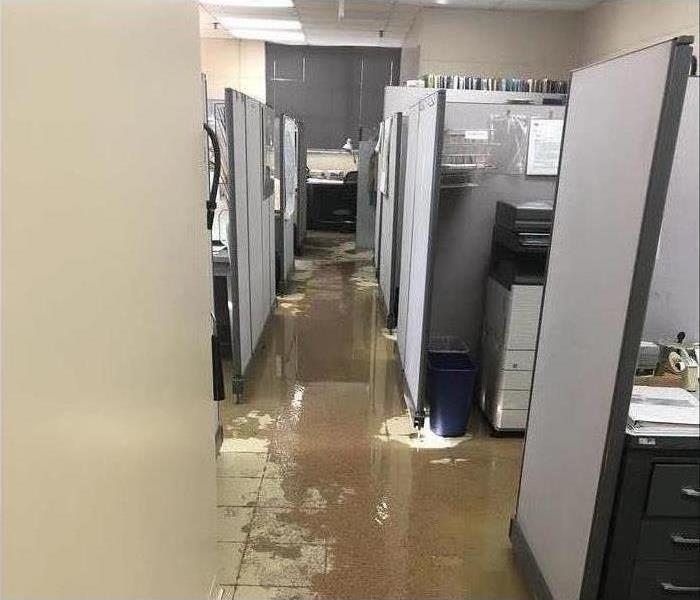 Water loss in an office