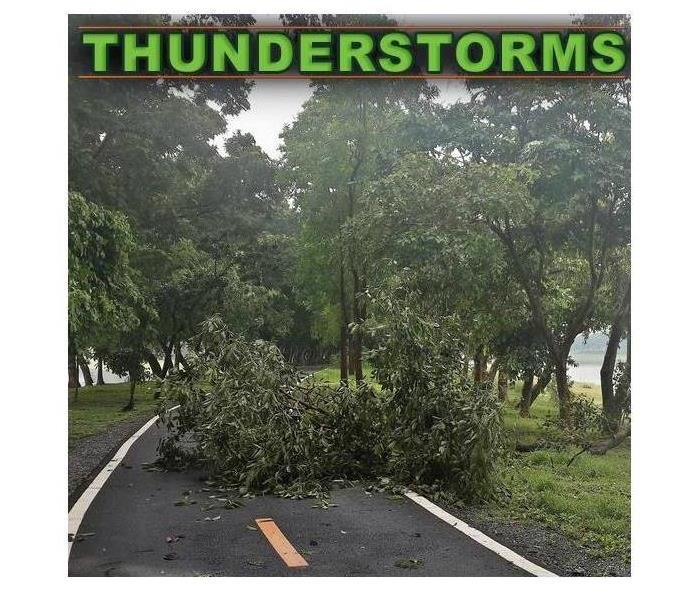 Fallen tree branch on road. Image with green word saying "THUNDERSTORMS"