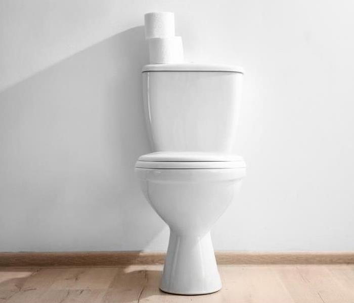A clean toilet bowl near light wall