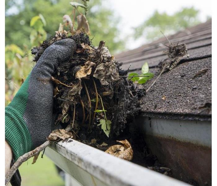 A hand wearing a green glove holding leaves from a dirty gutter
